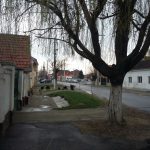 IMG-20170323-WA0001