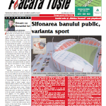 flacara 290