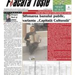 flacara 291
