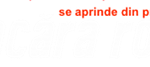 logo.flacara.alb.292×67