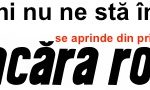 logo.flacara.rosie