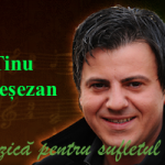 tinu veresezan