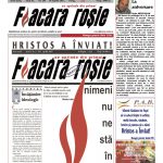 flacara-295