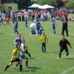 Teren CSȘ Gloria 2014