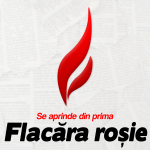 Profil flacara