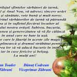 craciun.zabrani