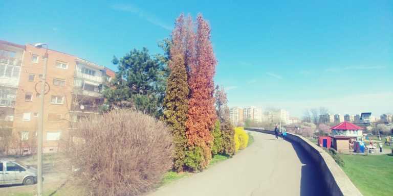 Înverzesc grădinile / ceru-i ca oglinda