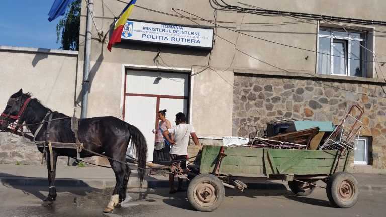 Mo, sukarule dă cărnetu la pralo meu!