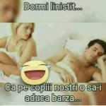 barza
