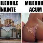 mileu