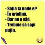 nevasta