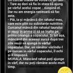 rahat