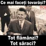 tovarasi