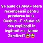 zamfira