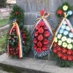 coroane-campeni-ziua-nationala