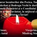 paste.pecica
