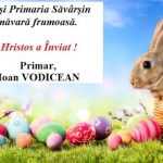 savarsin