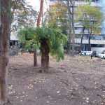 astr3