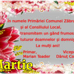 zabrani martie edit