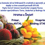 pecica2