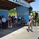 tacasele
