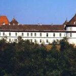 cetatea ineului