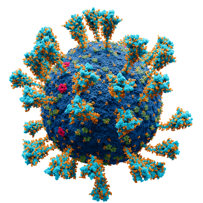 Coronavirus._SARS-CoV-2