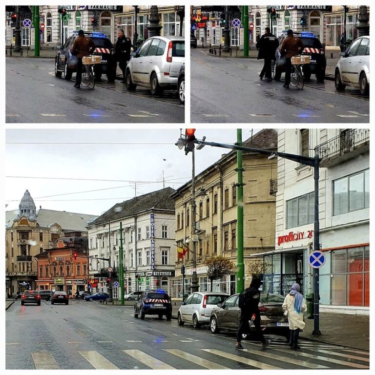 AROGANȚĂ>SFIDARE>TUPEU NESIMȚIT – copie perfectă marca Toma Adrian