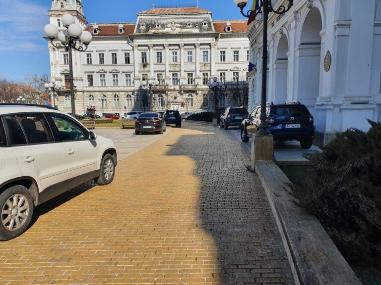 „Puliția” locală, stat în stat sau stătători degeaba?