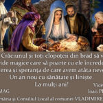 Craciun-2022-Vladimirescu