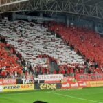 testudo uta